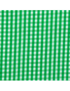 Tejido popelina de algodón - Vichy cuadros grandes - Verde 2