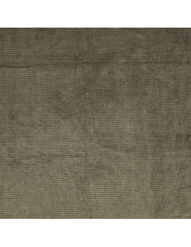 Tejido de terciopelo a rayas lurex - Verde oscuro