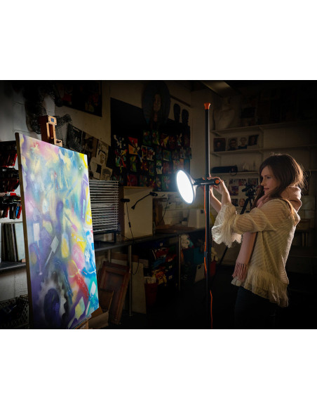 Lámpara de Estudio Artístico Daylight 2