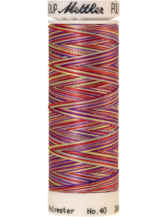 Hilo para bordar Mettler Polysheen multicolor