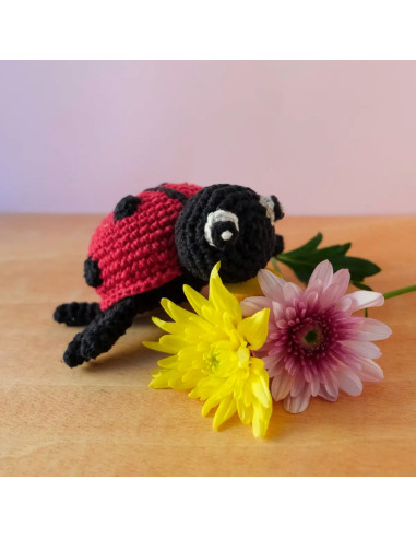 Kit de crochet - Daisy la mariquita