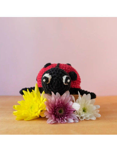 Kit de crochet - Daisy la mariquita