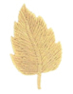 Parche termoadhesivo hoja beige
