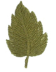 Parche termoadhesivo hoja caqui