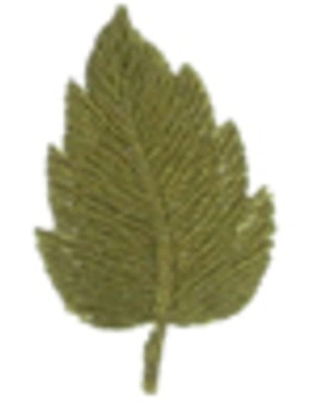 Parche termoadhesivo hoja caqui