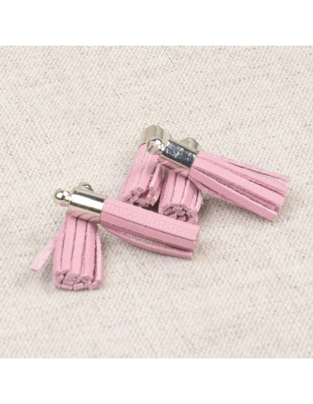 Set de 6 mini pompones - Rosa