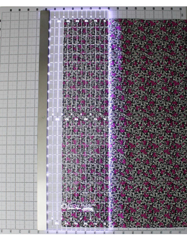 Regla de patchwork luminosa Carolina Moore 6.5 x 24.0 pulgadas