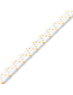 Elástico estrecho 2
