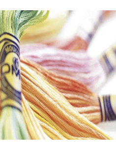 Hilo para bordar Mouliné Variations DMC