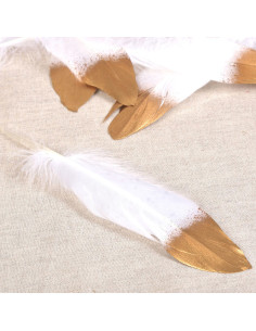 Juego de 10 plumas con acabado dorado - Blanco