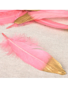 Juego de 10 plumas con acabado dorado - Rosa