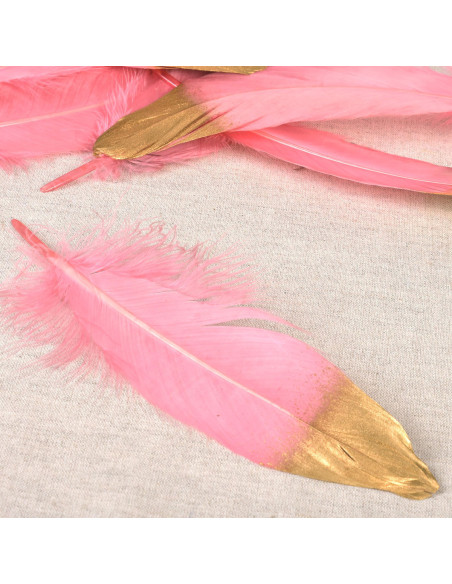 Juego de 10 plumas con acabado dorado - Rosa