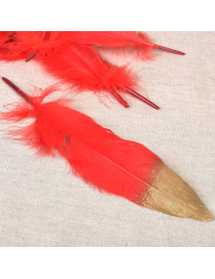 Juego de 10 plumas con acabado dorado - Rojo