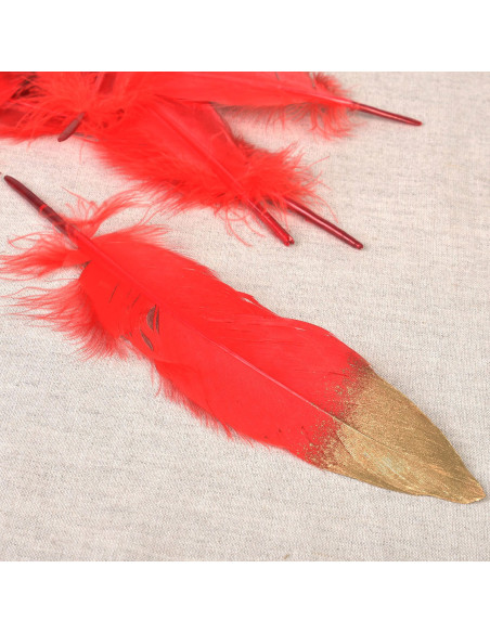 Juego de 10 plumas con acabado dorado - Rojo