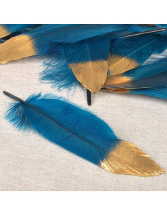 Juego de 10 plumas con acabado dorado - Azul