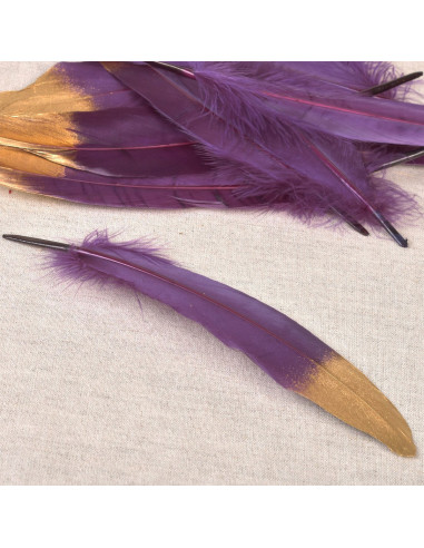 Juego de 10 plumas con acabado dorado - Violeta
