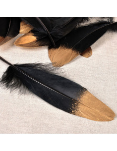 Juego de 10 plumas con acabado dorado - Negro