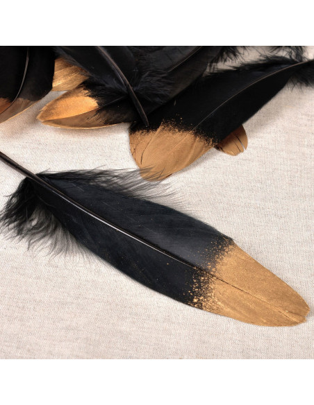 Juego de 10 plumas con acabado dorado - Negro