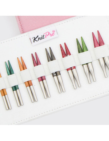 Kit de agujas circulares mini KnitPro Dreamz
