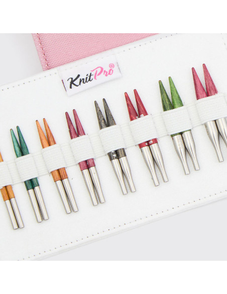 Kit de agujas circulares mini KnitPro Dreamz
