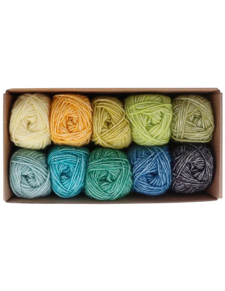Caja de 10 ovillos Scheepjes Stone Washed Colour Pack - Grounding