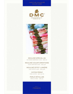 Carta de colores 500 tonos mouliné y perlé DMC