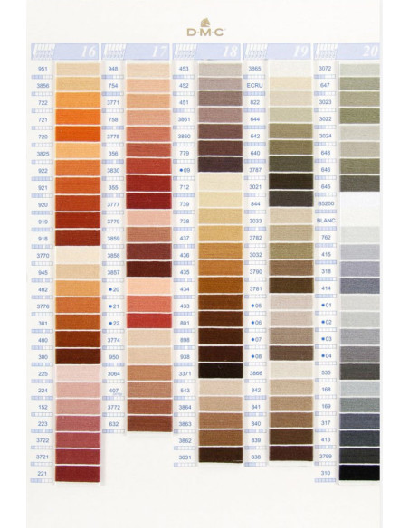 Carta de colores 500 tonos mouliné y perlé DMC