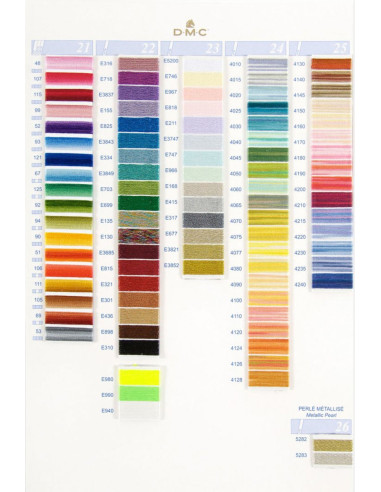 Carta de colores 500 tonos mouliné y perlé DMC