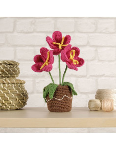 Kit amigurumi - Maceta de flores