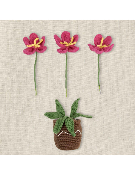 Kit amigurumi - Maceta de flores