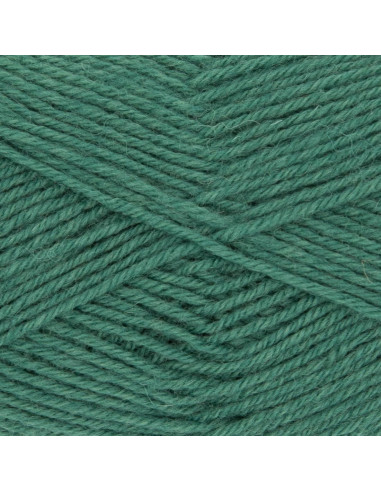 Laine à chaussettes Hot Socks uni 50 Gründl