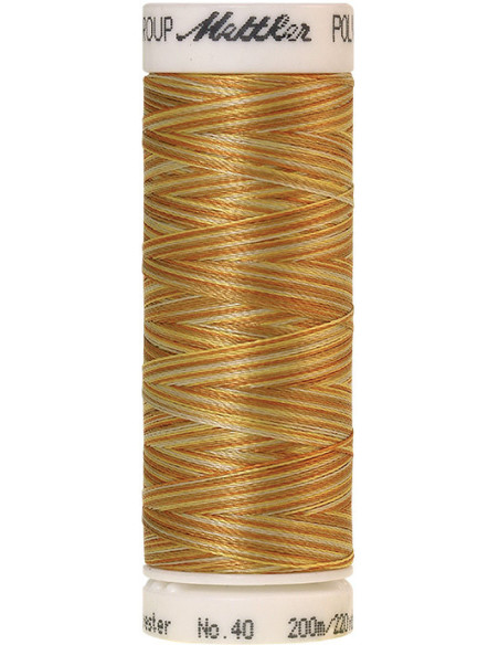 Fil à broder Poly sheen multicolor Mettler