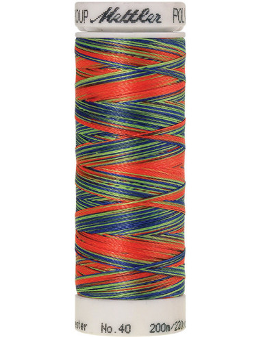Fil à broder Poly sheen multicolor Mettler