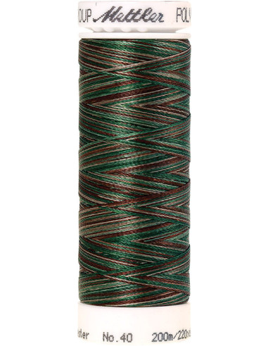 Fil à broder Poly sheen multicolor Mettler