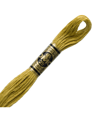 Fil à broder Mouliné DMC