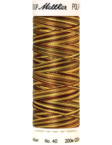 Fil à broder Poly sheen multicolor Mettler