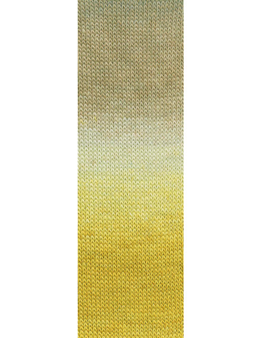 Laine Mille Colori Socks & Lace Luxe Lang Yarns