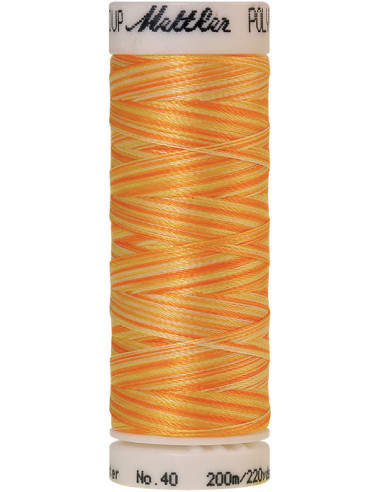 Fil à broder Poly sheen multicolor Mettler