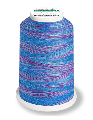 Cône pour surjeteuse Madeira Aerolock Multicolor 1200 m