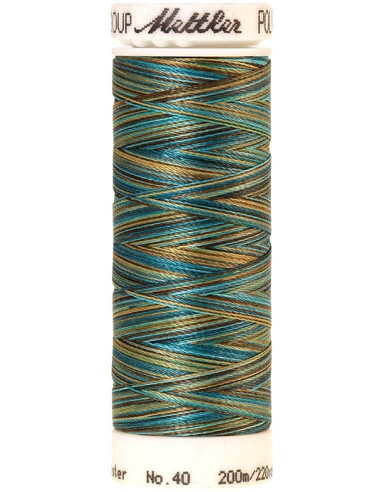 Fil à broder Poly sheen multicolor Mettler