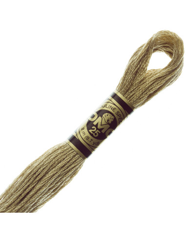 Fil à broder Mouliné DMC