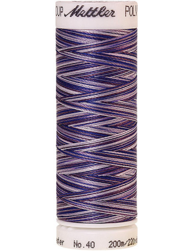 Fil à broder Poly sheen multicolor Mettler