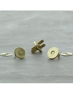 Bolsa de 2 cierres magnéticos de 14 mm - Oro