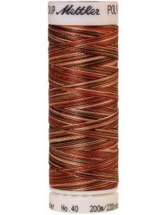 Hilo para bordar Mettler Polysheen multicolor 2