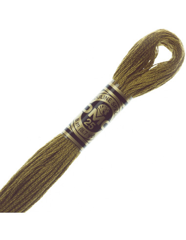Fil à broder Mouliné DMC