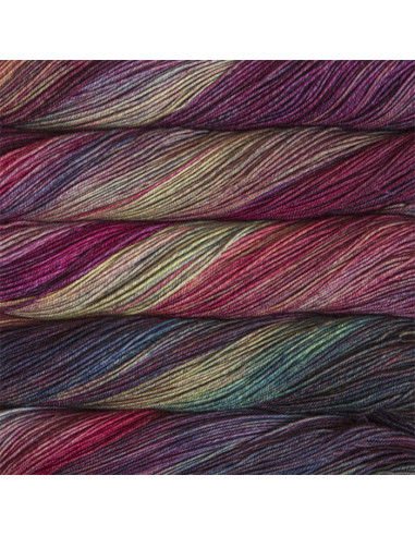 Laine à chaussettes Sock Malabrigo