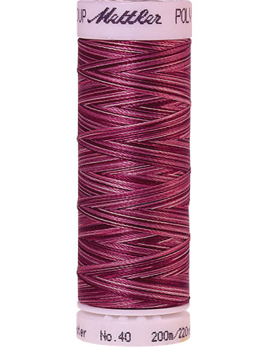 Fil à broder Poly sheen multicolor Mettler