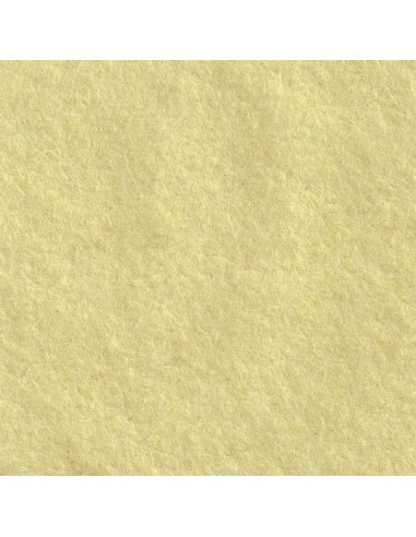 Coupon de feutrine Cinnamon Patch 30 x 45 cm