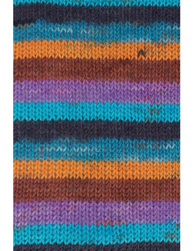 Laine à chaussettes Hot Socks color Gründl
