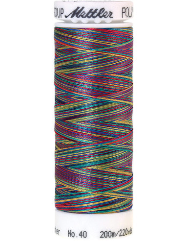Fil à broder Poly sheen multicolor Mettler